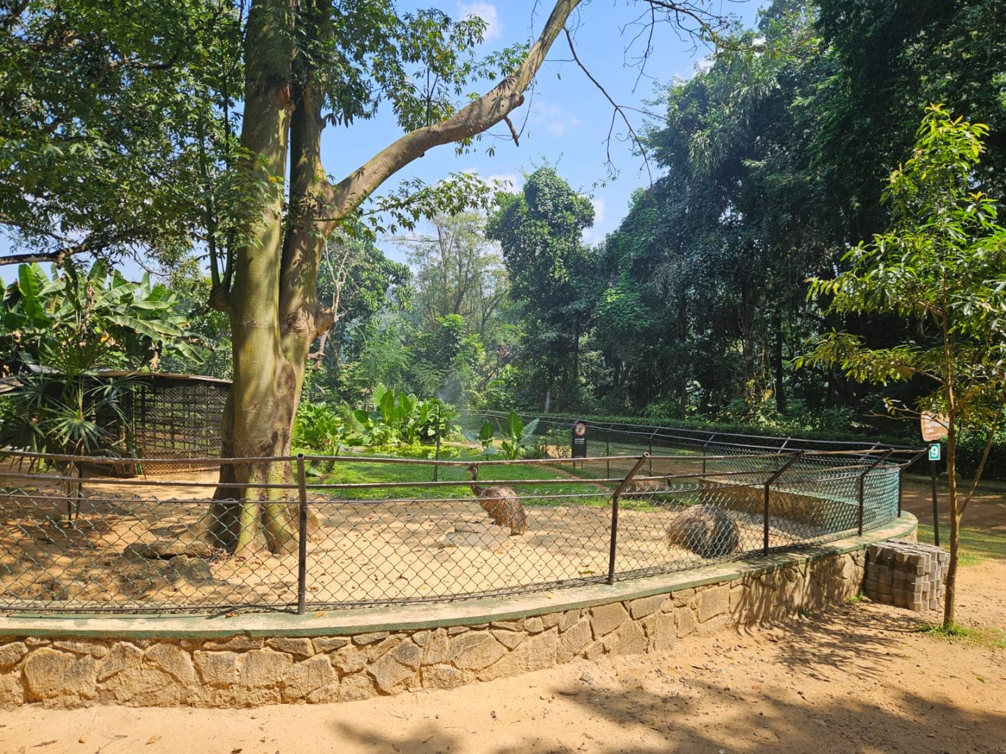 Pinnawala Zoo - Emu Enclosure