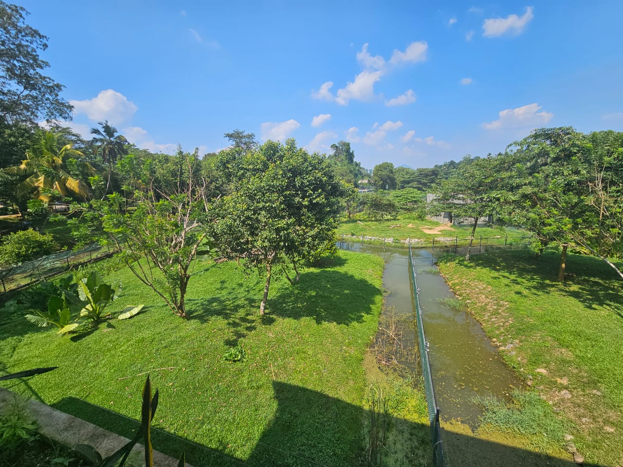 Pinnawala Zoo - Future Primate Islands (Work in progress)