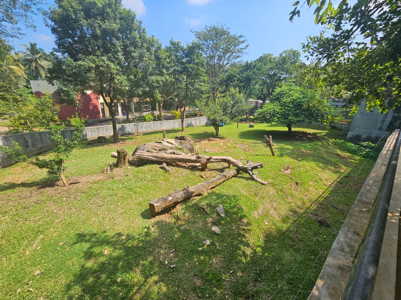 Pinnawala Zoo - Left side of Sri Lankan Sloth Bear enclosure