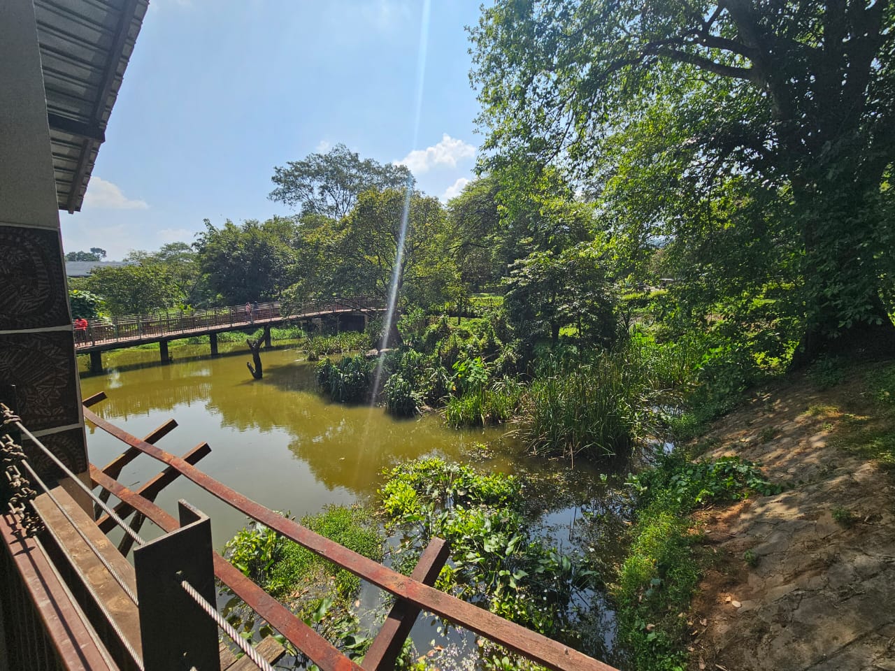 Pinnawala Zoo - Mugger Crocodile enclosure