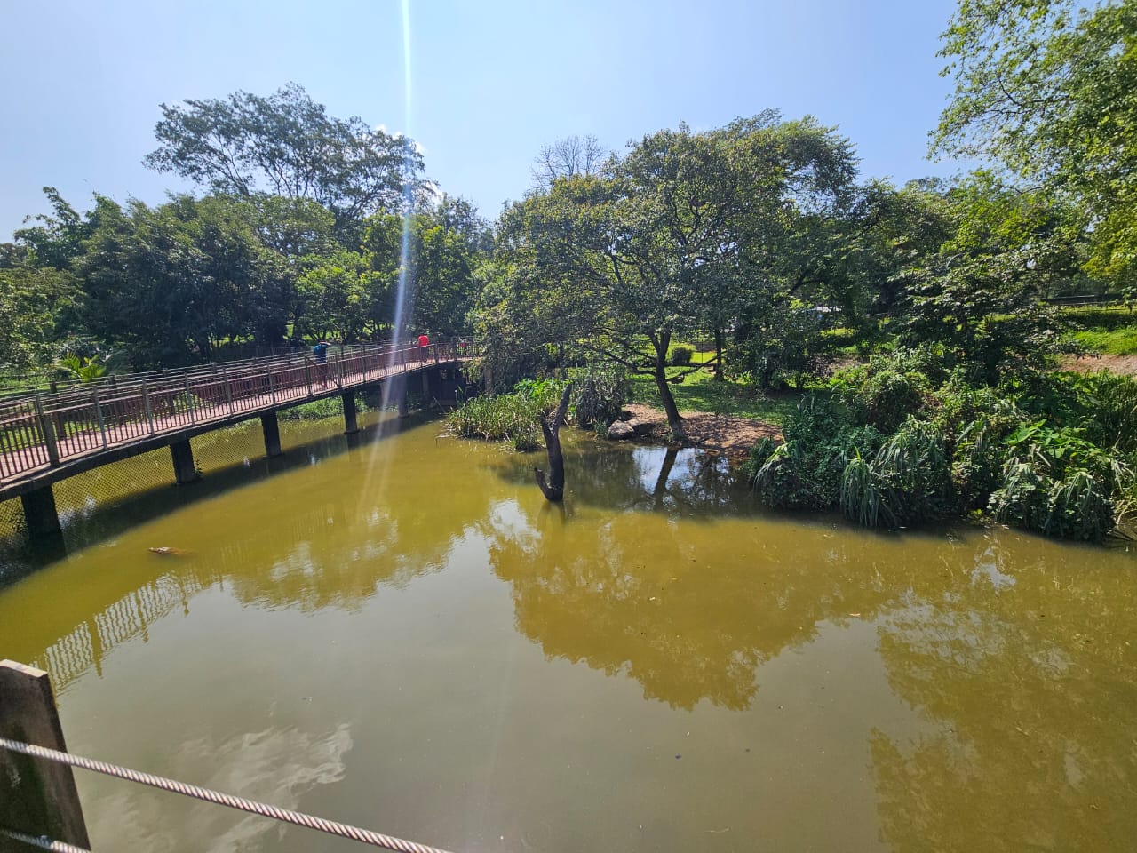 Pinnawala Zoo - Mugger Crocodile enclosure