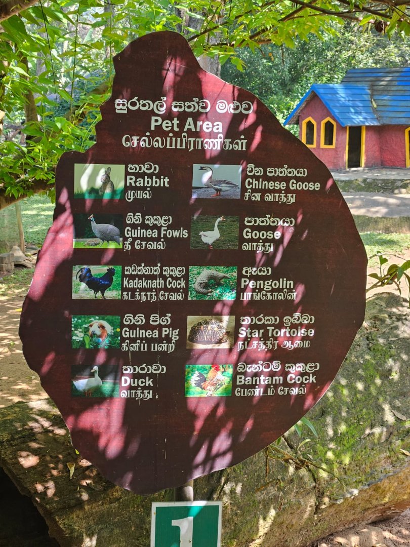 Pinnawala Zoo - Pet Area species sign