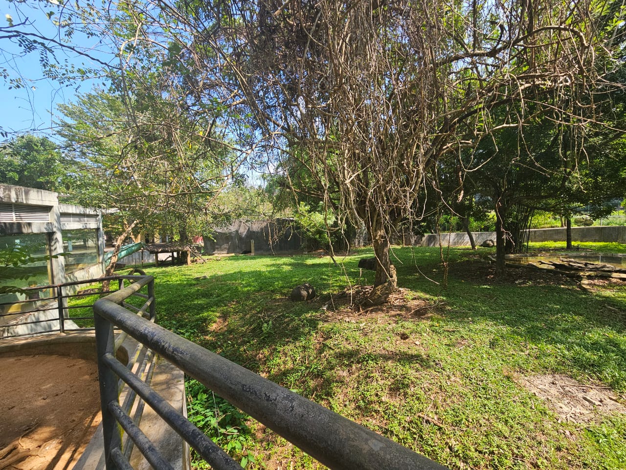 Pinnawala Zoo - Right side of Sri Lankan Sloth Bear enclosure
