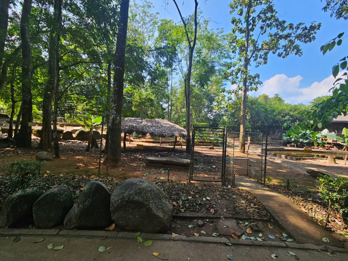 Pinnawala Zoo - Sri Lankan Axis Deer paddock
