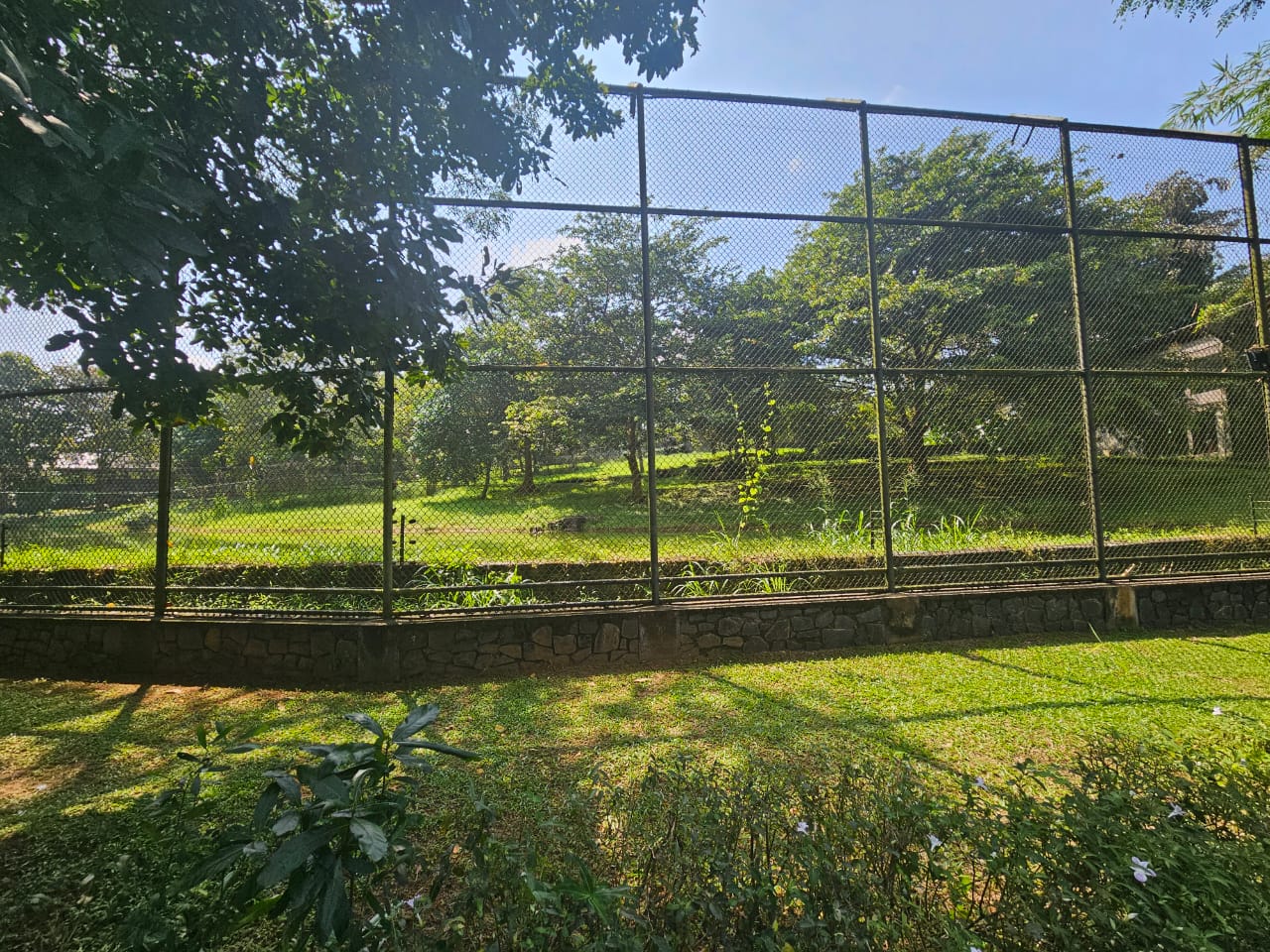 Pinnawala Zoo - Sri Lankan Leopard Enclosure
