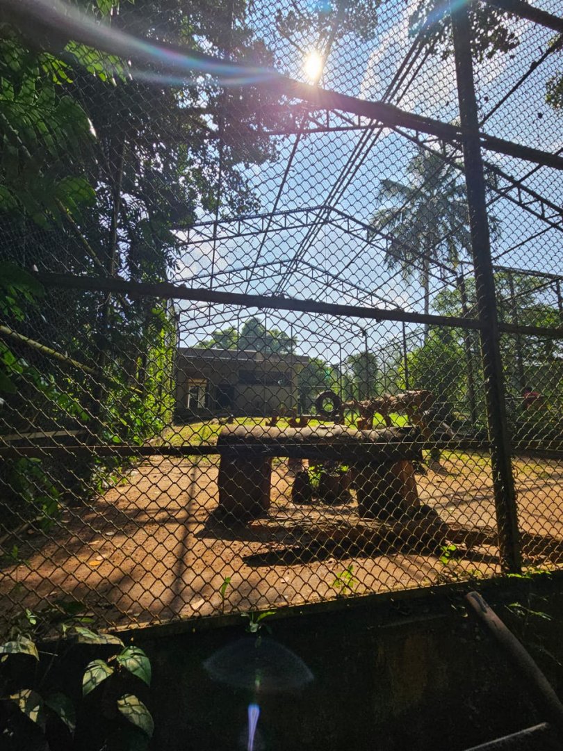 Pinnawala Zoo - Sri Lankan Leopard Separation Cage