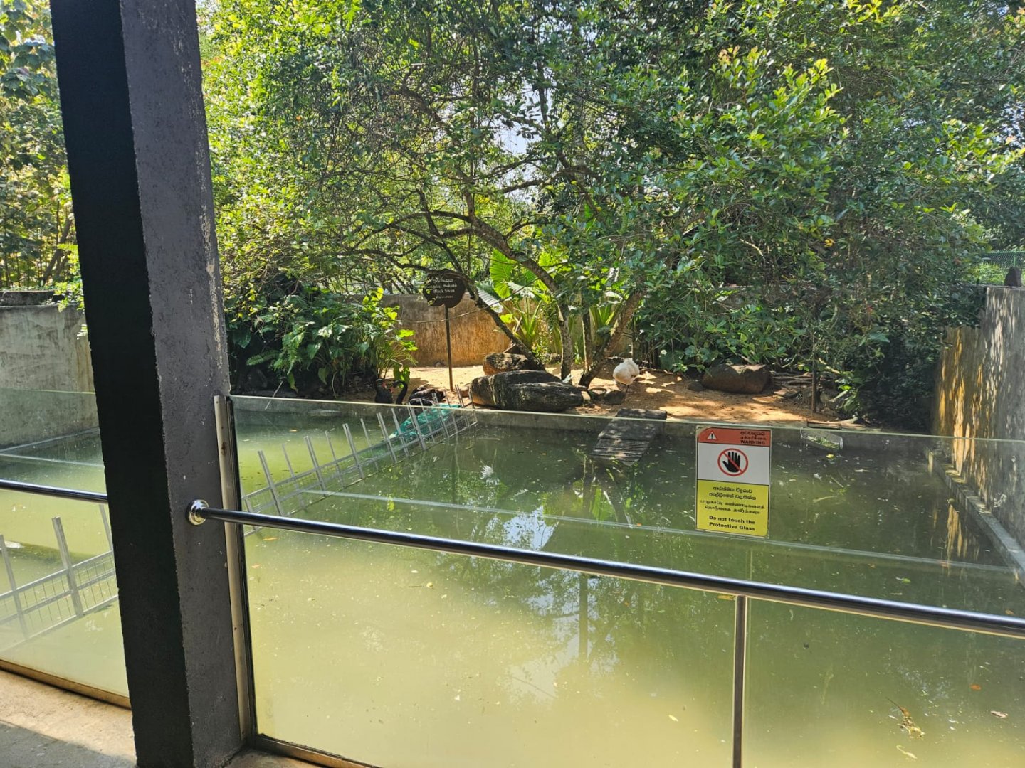 Pinnawala Zoo - Swan Enclosure