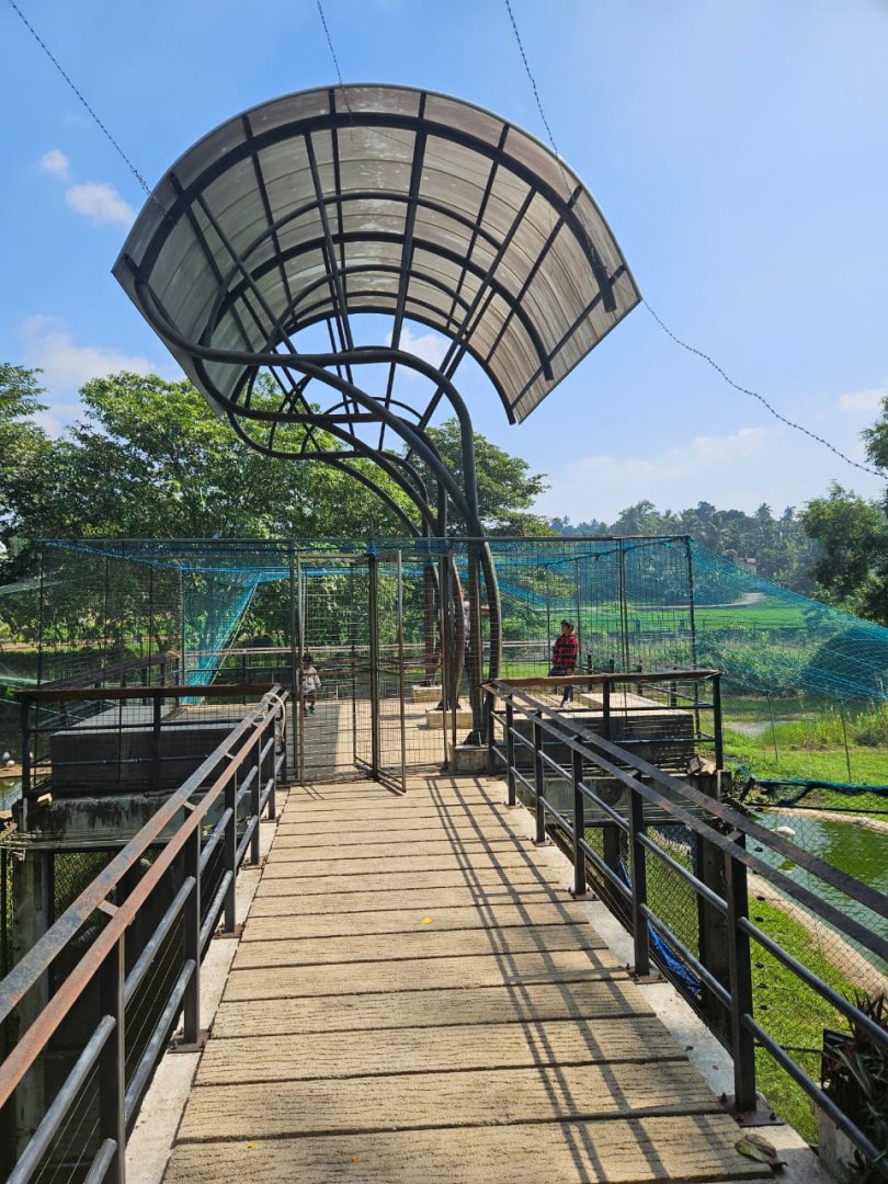 Pinnawala Zoo - Weird Shade Structure over Flamingo viewing area