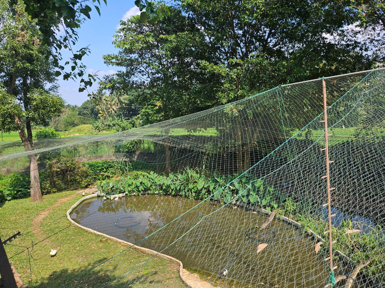 Pinnawala Zoo - Wetland Aviary 1