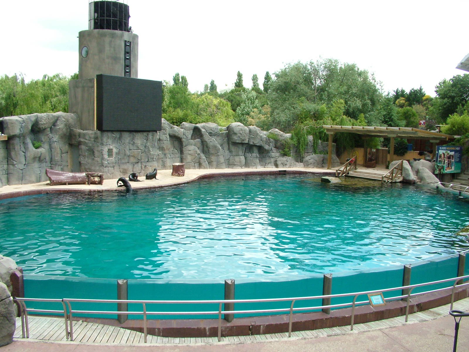 Pinniped Arena at Faunia, 27/05/11