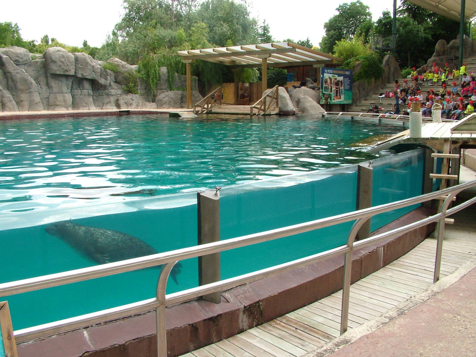 Pinniped Arena at Faunia, 27/05/11