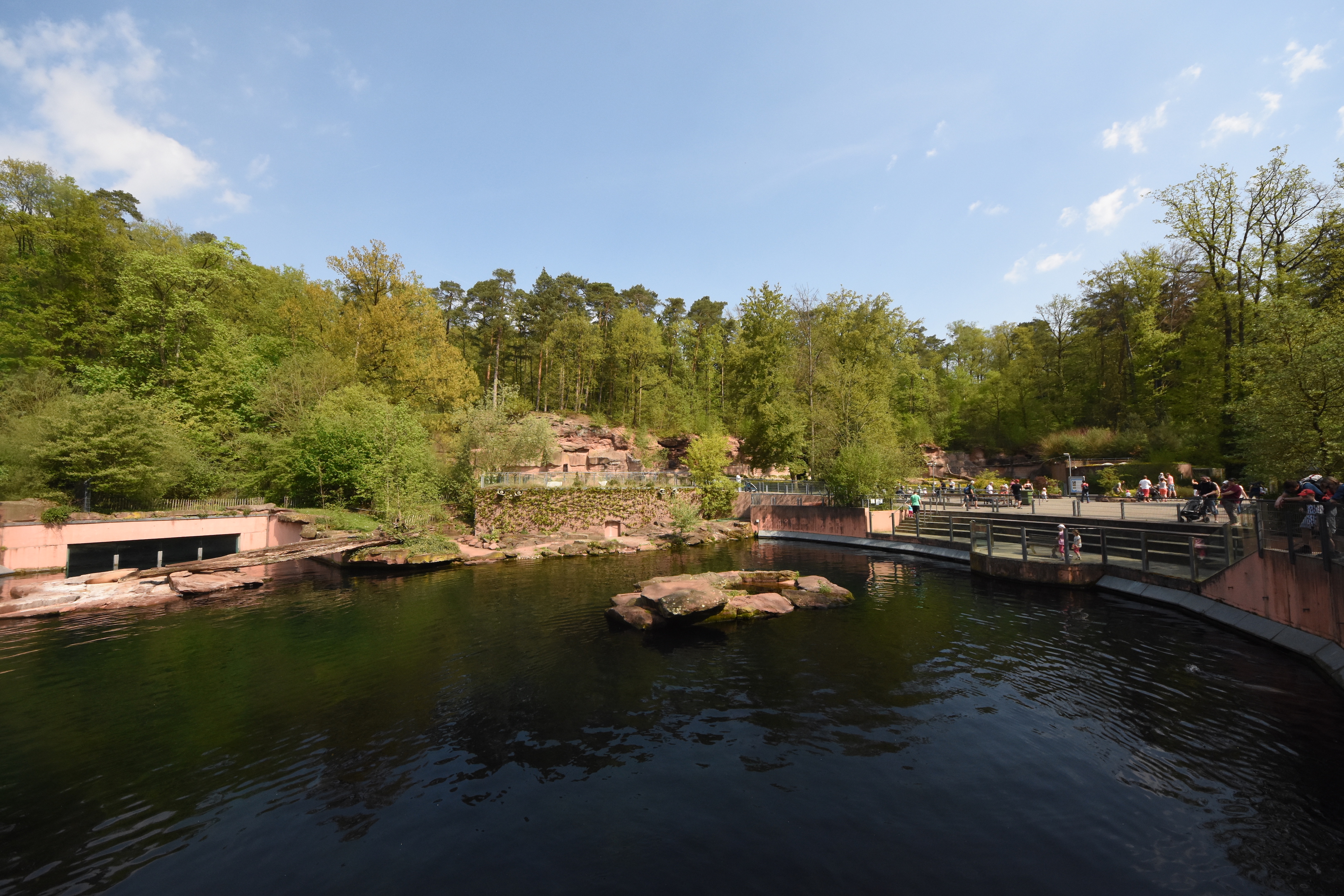 Pinniped enclosure with Polar bears in the background
