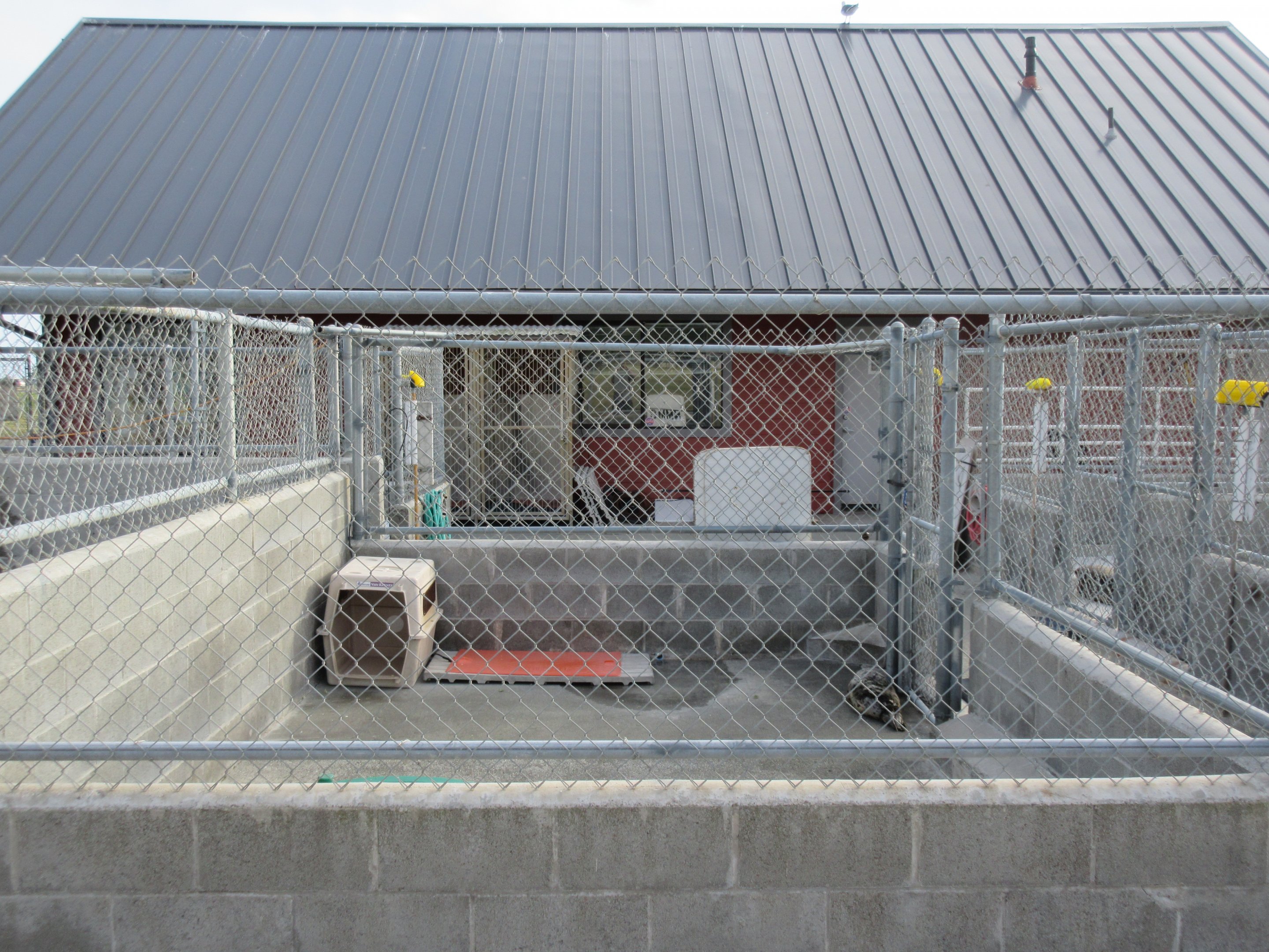Pinniped Enclosure