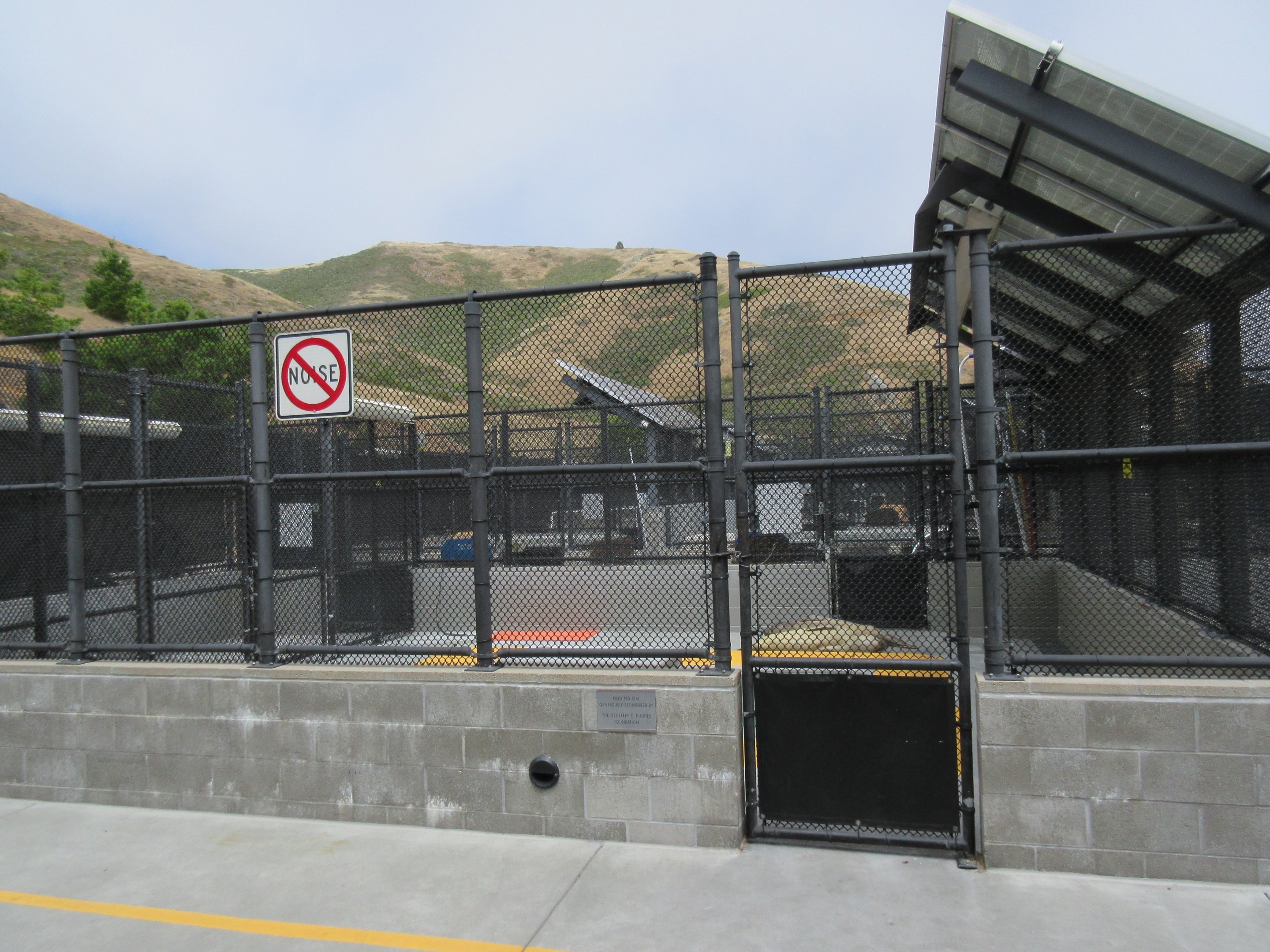 Pinniped Enclosure