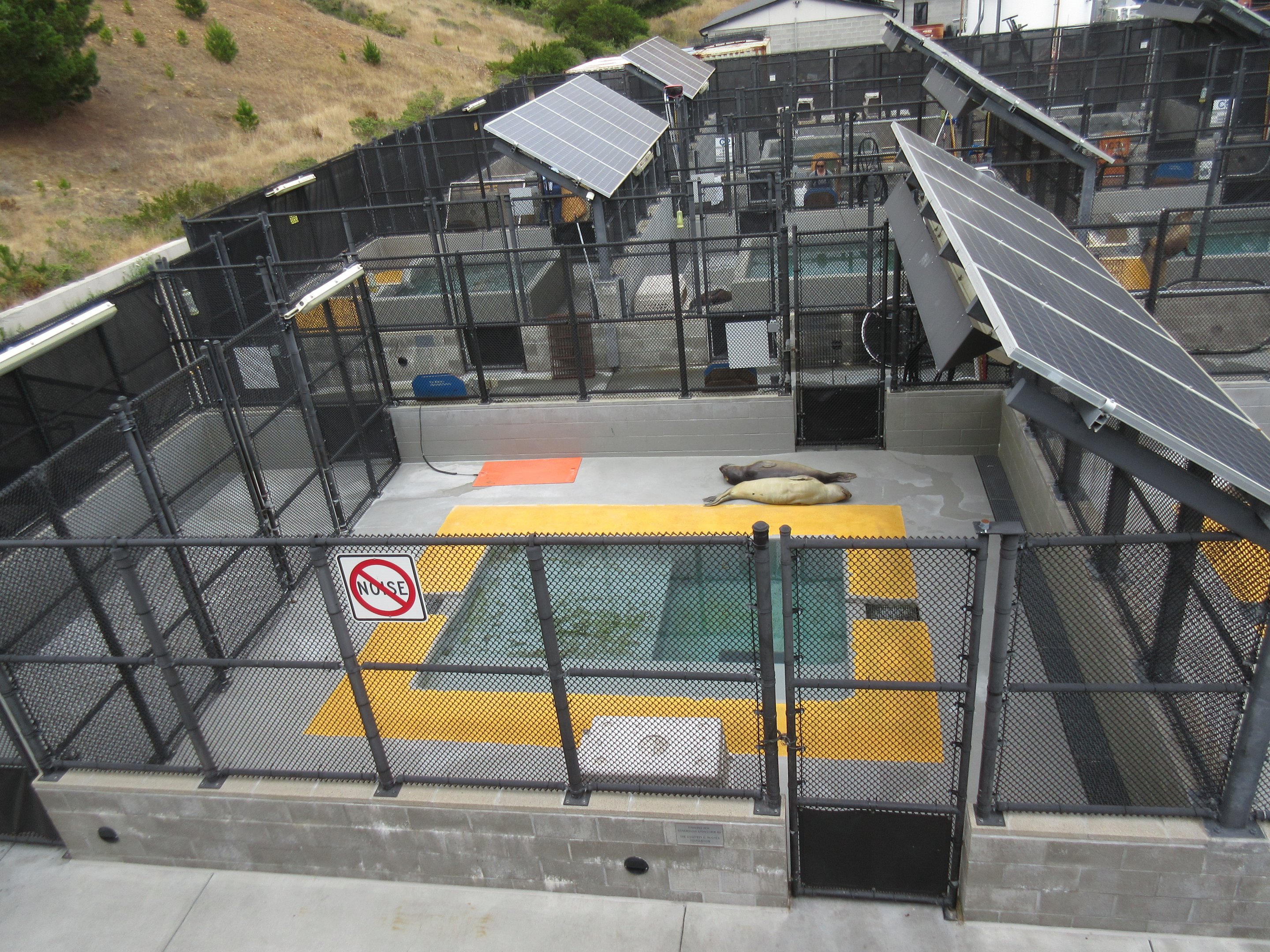 Pinniped Enclosure