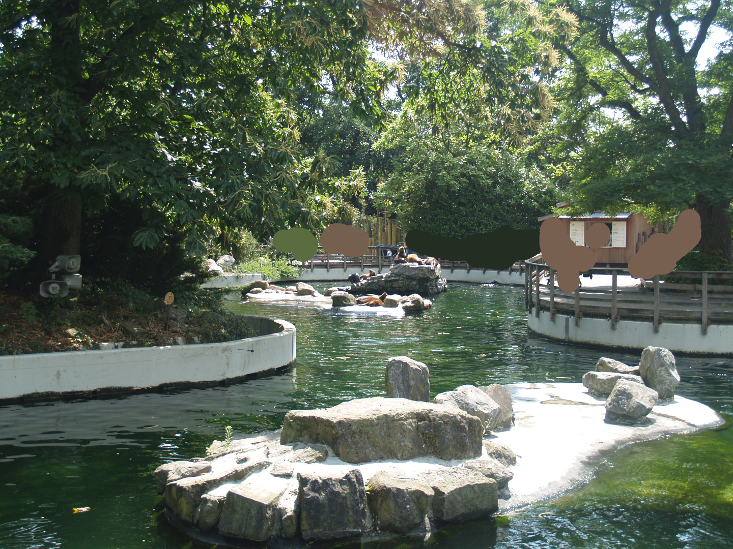 Pinniped exhibit, 2006-07-08