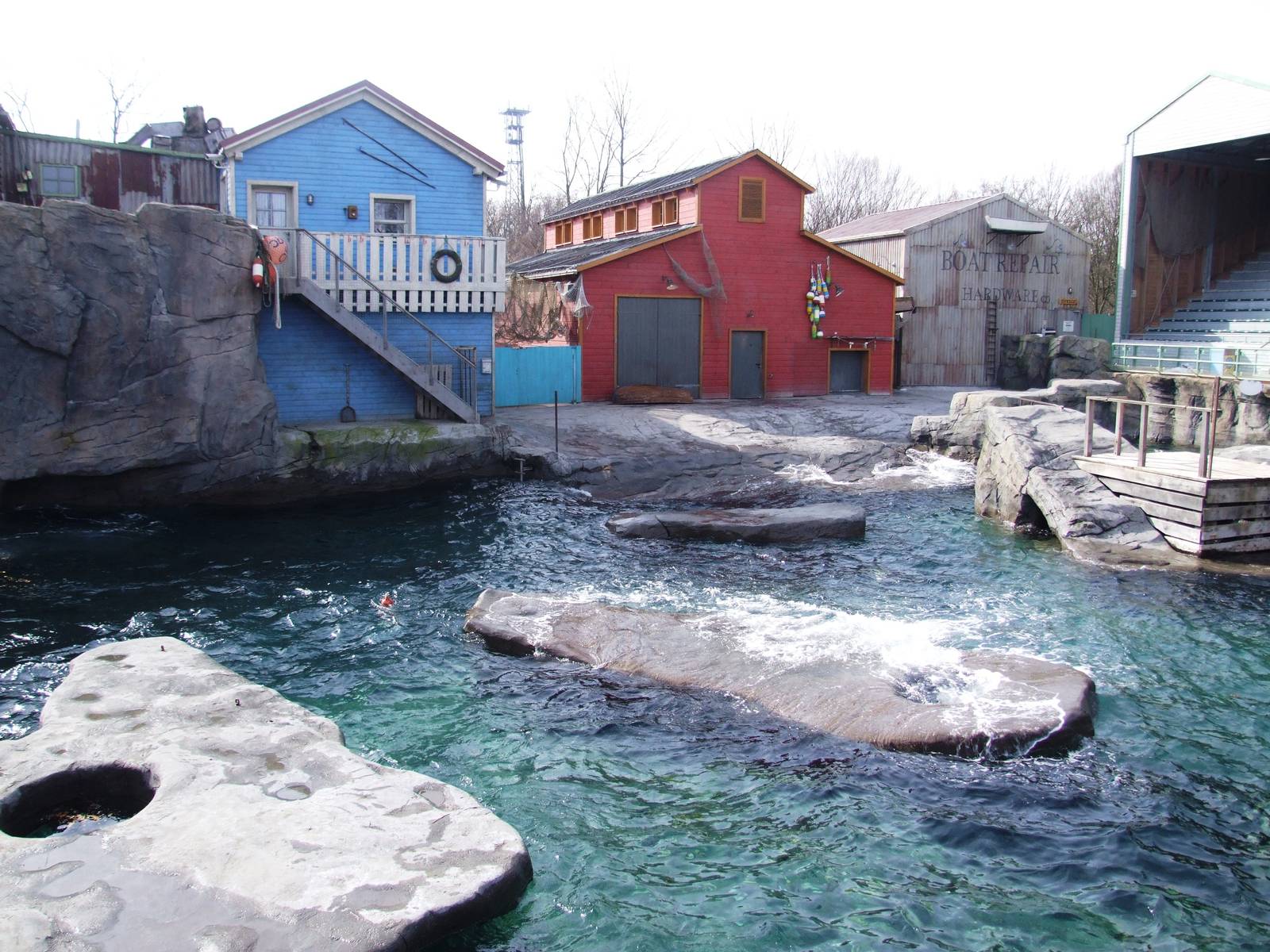 Pinniped Exhibit at Hannover, 23/03/13