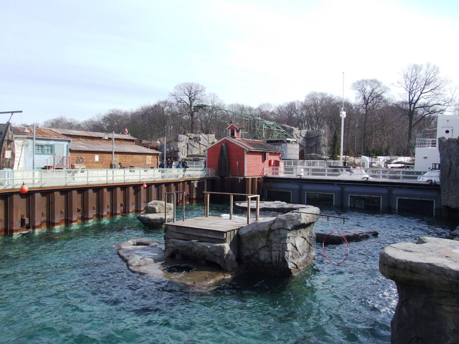 Pinniped Exhibit at Hannover, 23/03/13