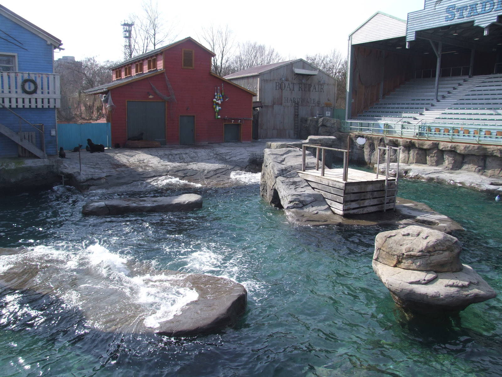 Pinniped Exhibit at Hannover, 23/03/13