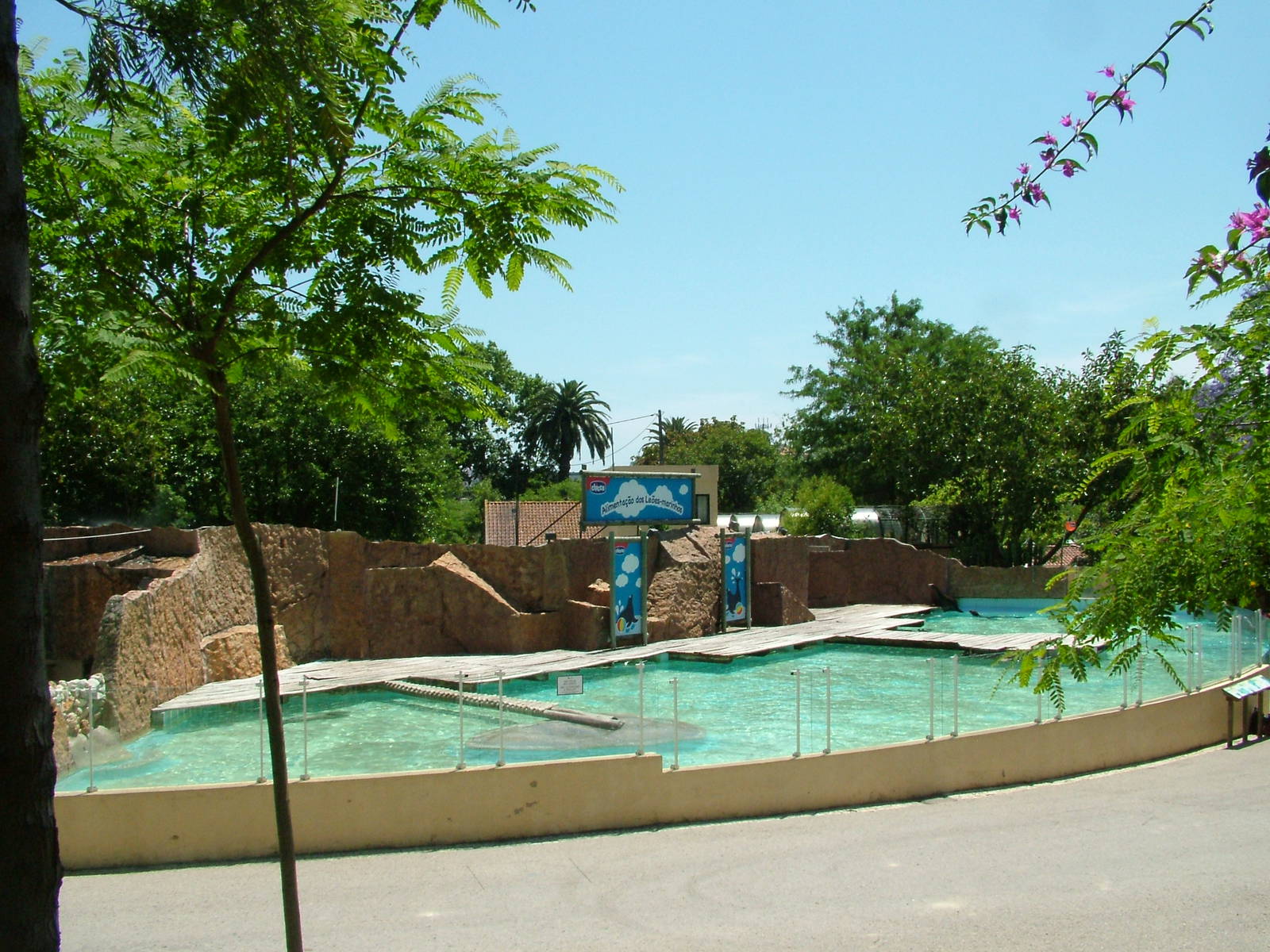 Pinniped Exhibit at Lisbon Zoo, 24/05/11