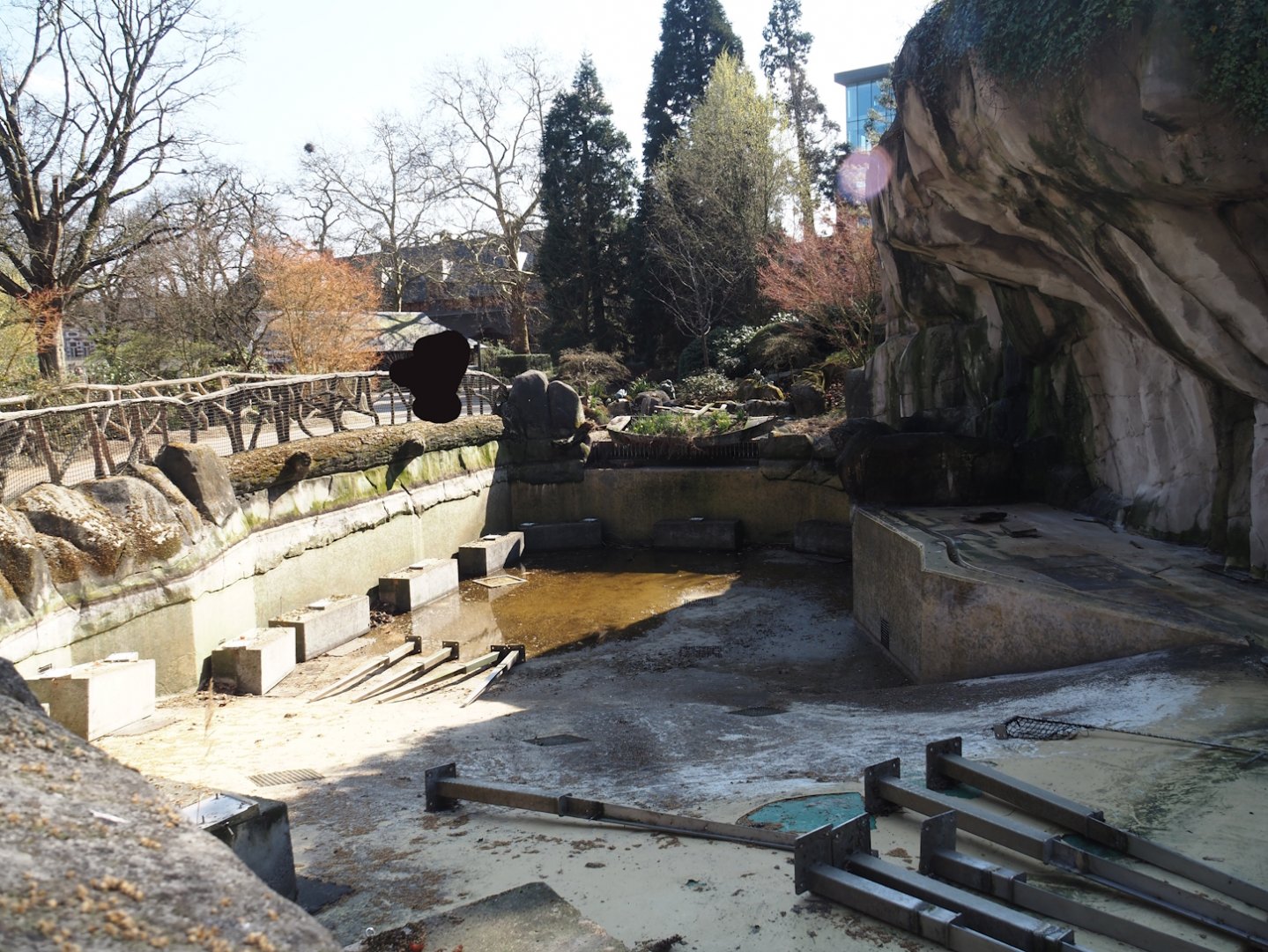 Pinniped exhibit being prepared to house harbor seals again after temporarily housing California sea lions, 2025-03-16