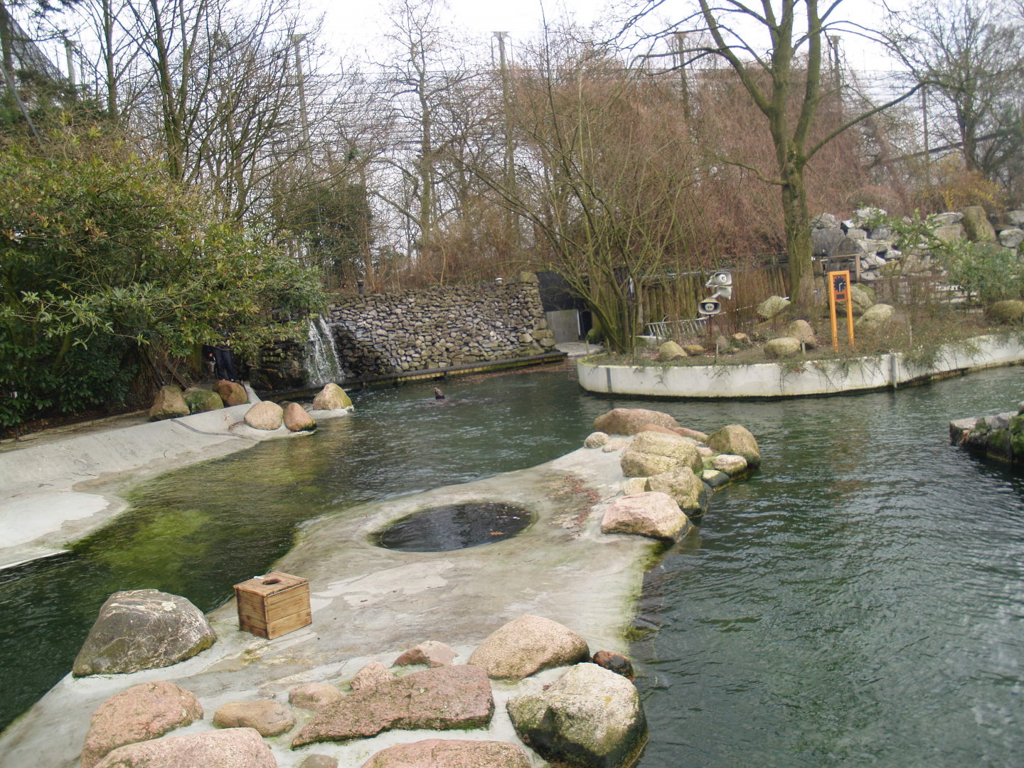 Pinniped exhibit - Housing California sea lions at the time, 2008-03-01