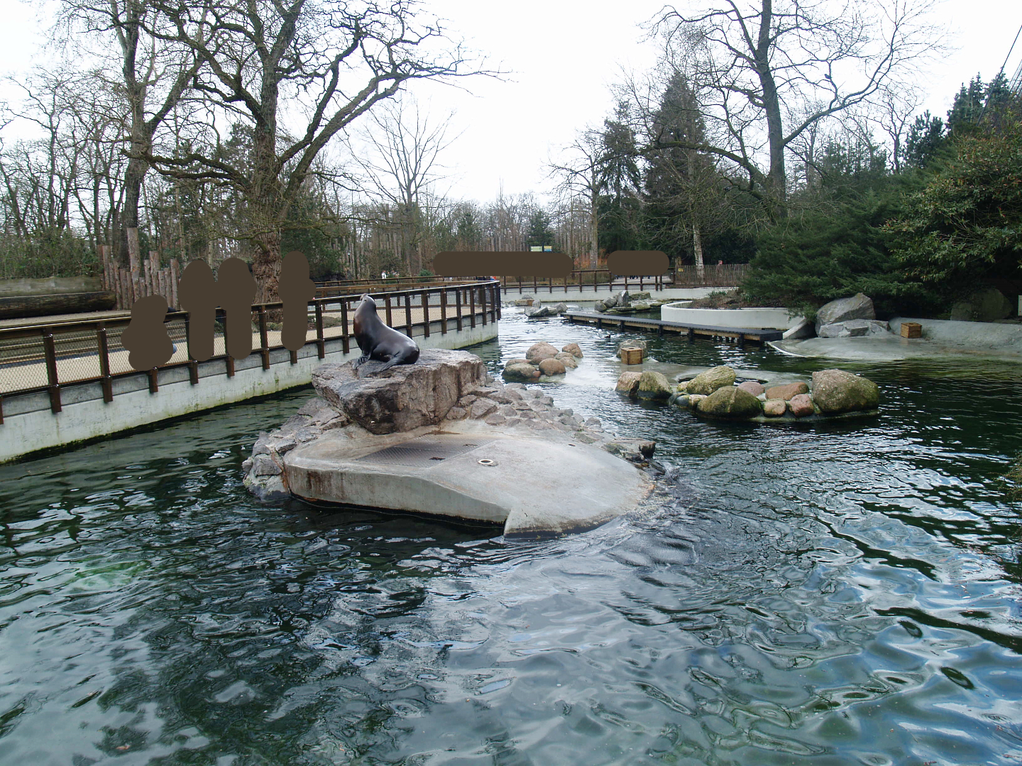 Pinniped exhibit - Housing California sea lions at the time, 2008-03-01
