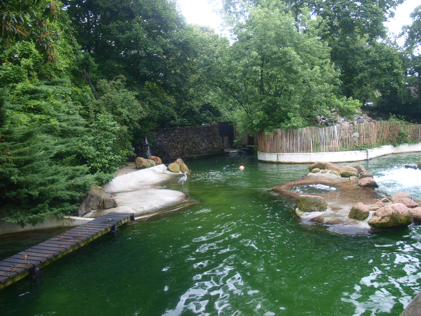 Pinniped exhibit - Housing South American fur seals at the time, 2015-07-19