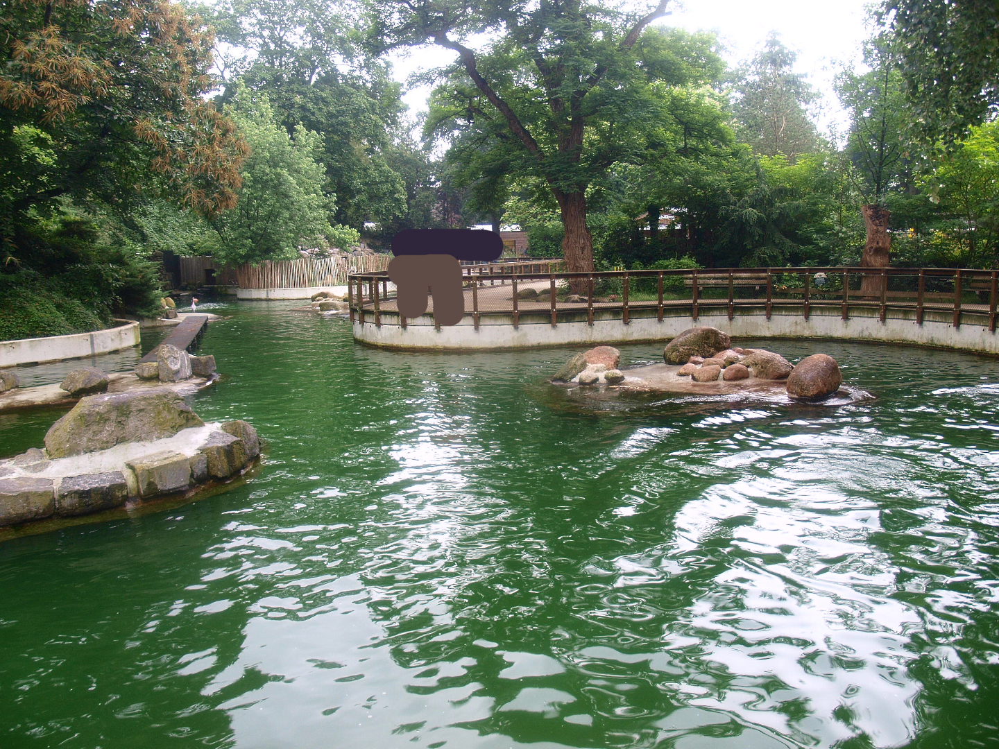 Pinniped exhibit - Housing South American fur seals at the time, 2015-07-19