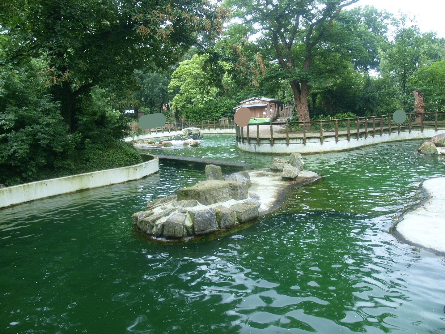 Pinniped exhibit - Housing South American fur seals at the time, 2015-07-19
