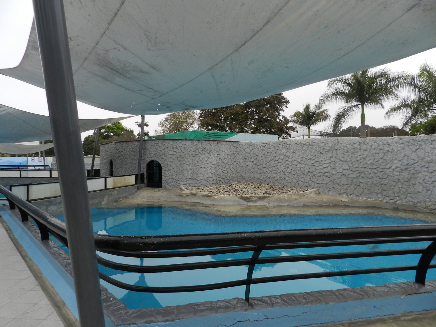 Pinniped exhibit I - Parque de Las Leyendas