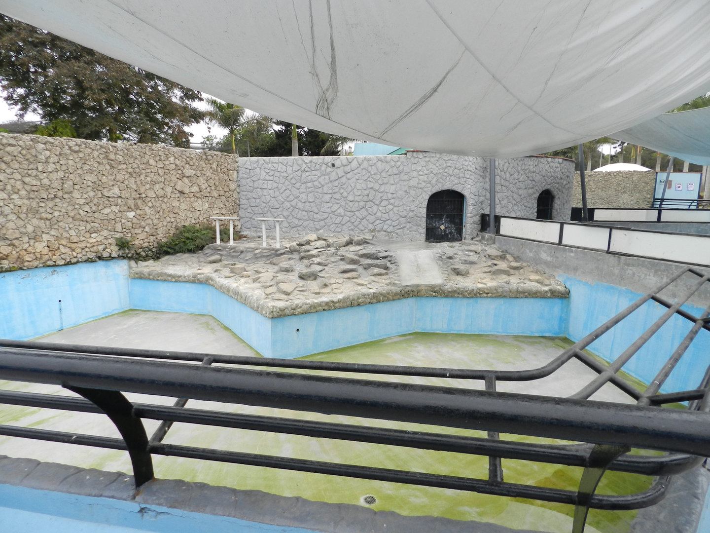 Pinniped exhibit III - Parque de Las Leyendas