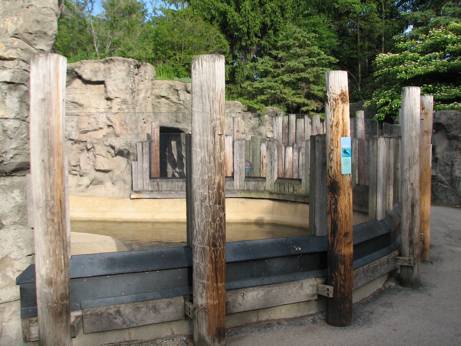 Pinniped Point - California Sea Lion and Gray Seal Exhibit