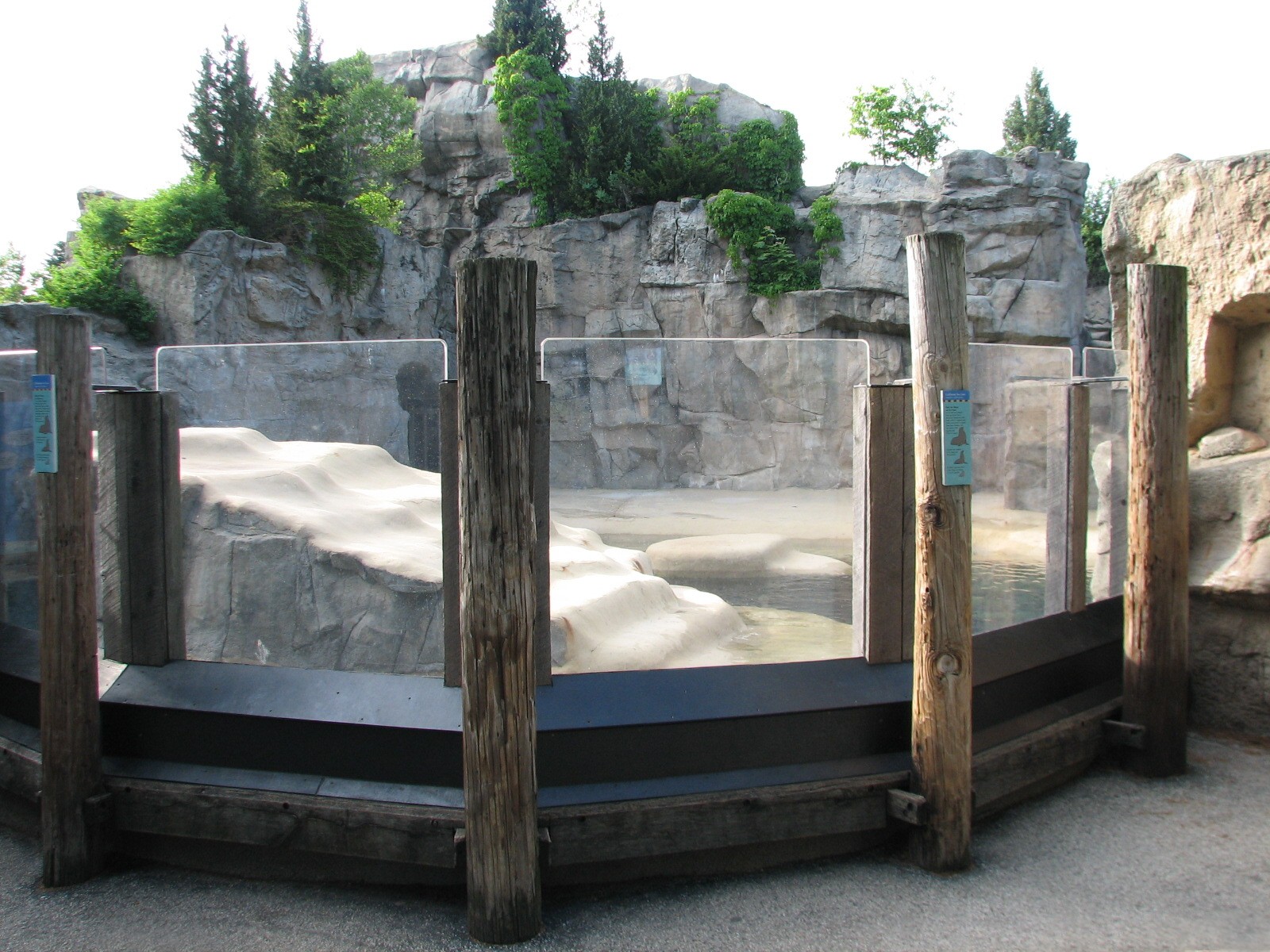 Pinniped Point - California Sea Lion Exhibit 2