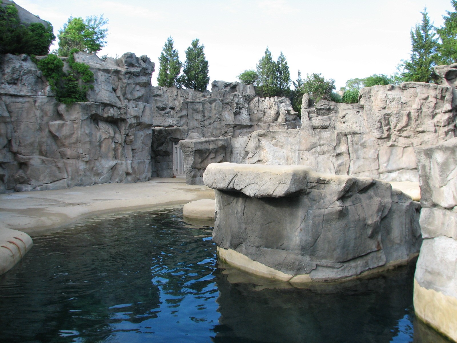 Pinniped Point - California Sea Lion Exhibit 2