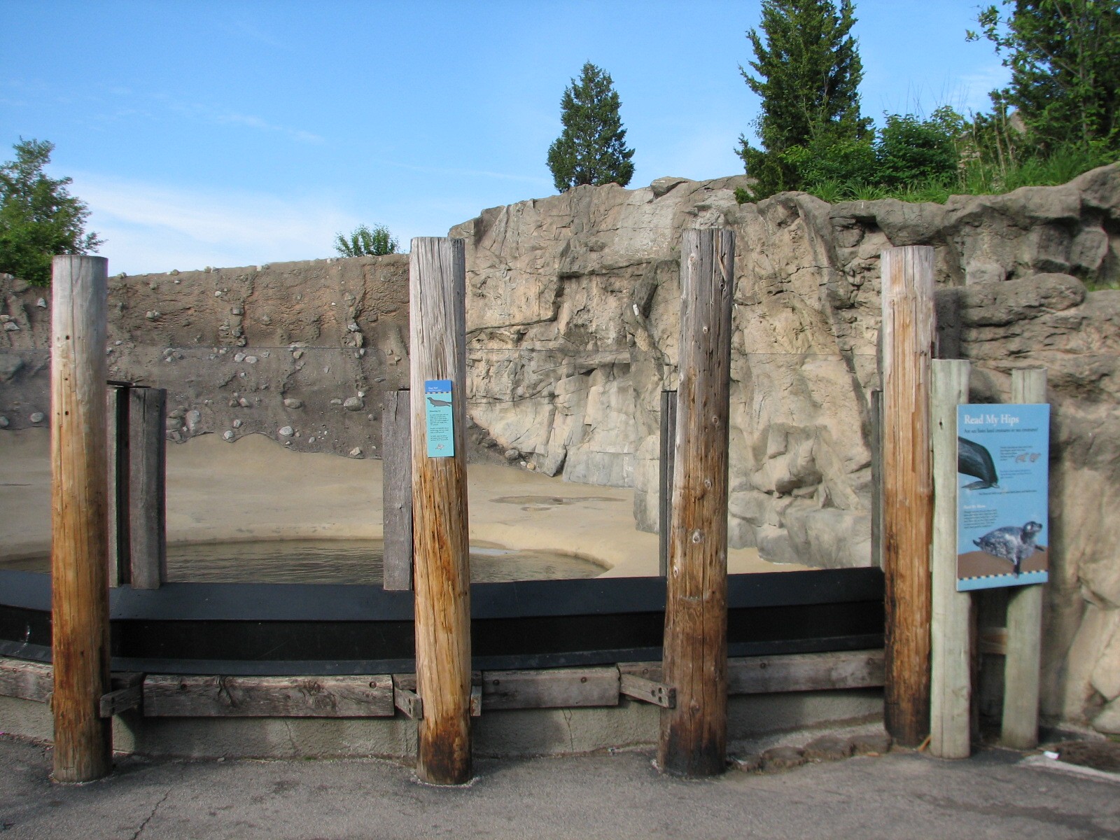 Pinniped Point - Gray Seal Exhibit