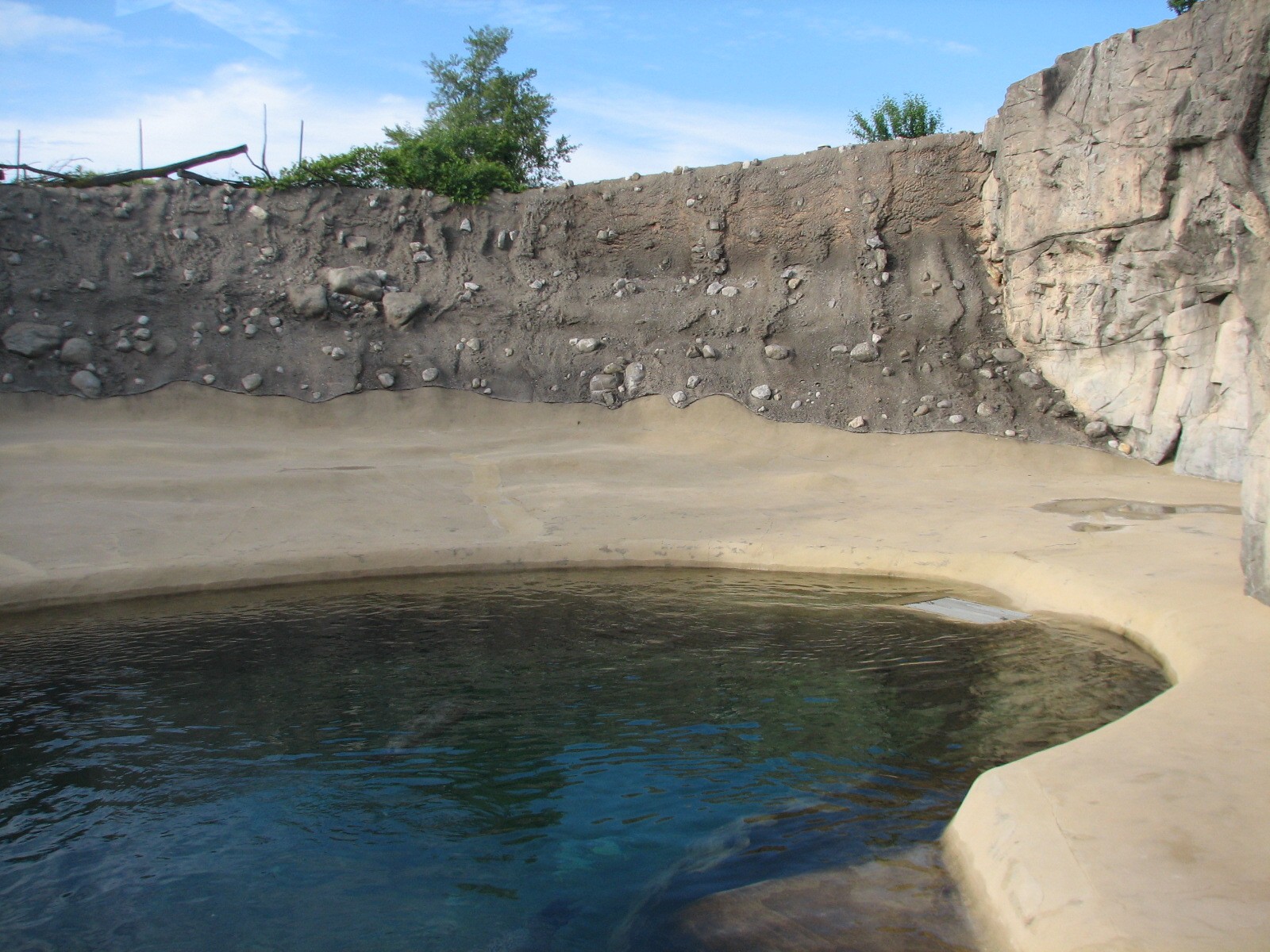 Pinniped Point - Gray Seal Exhibit