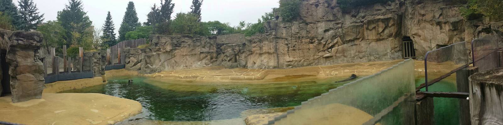 Pinniped Point - Grey Seal Exhibit