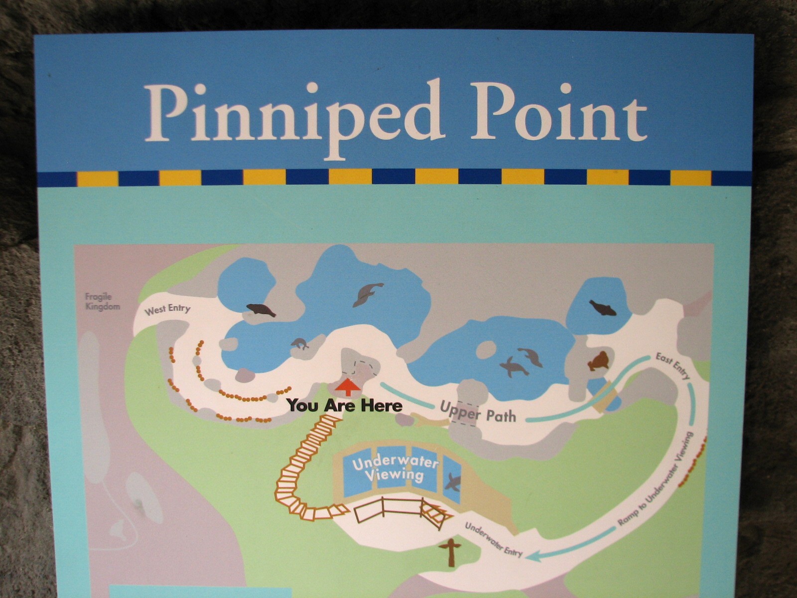 Pinniped Point - Map