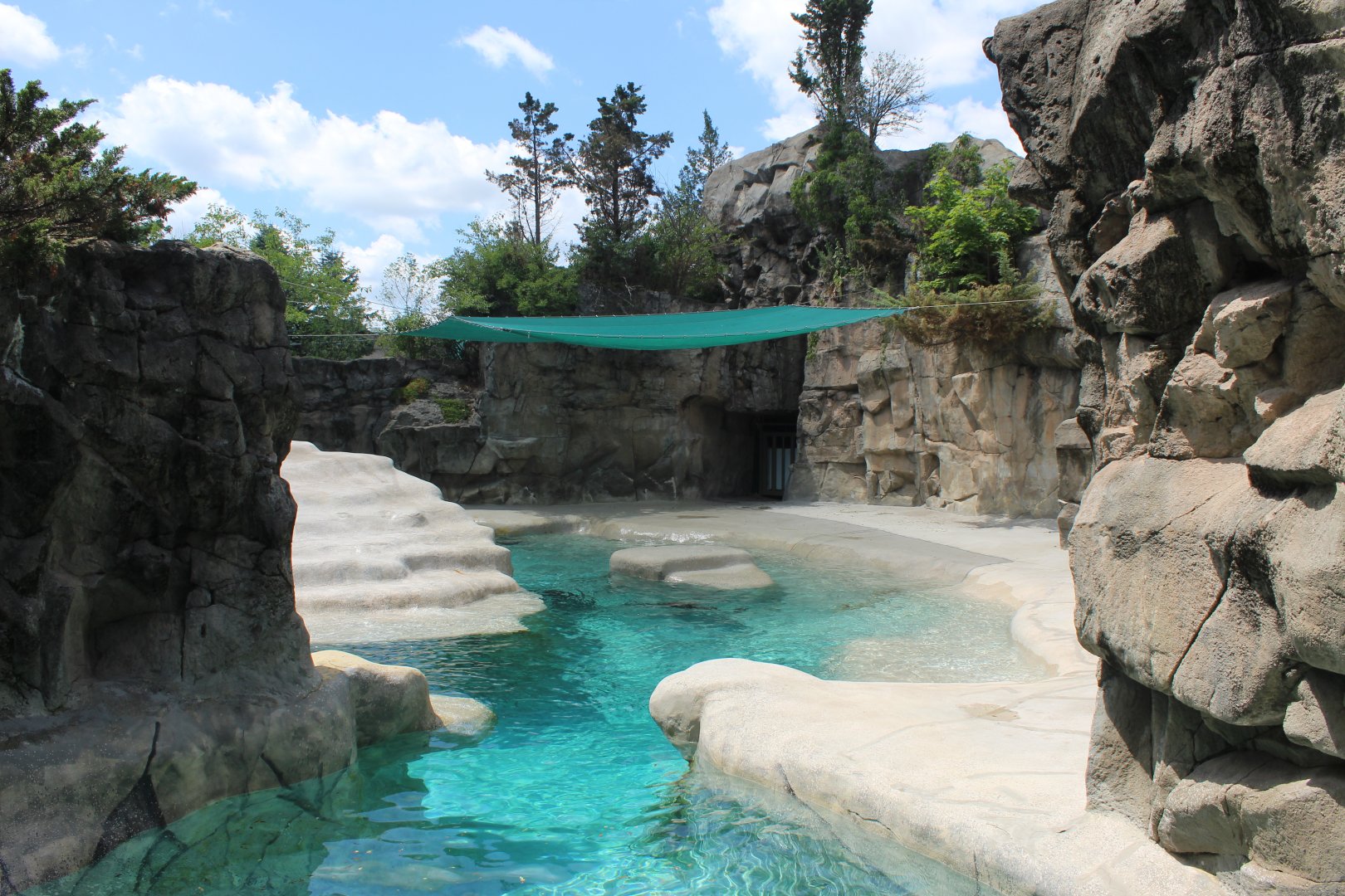 Pinniped Point - Sea Lion Exhibit