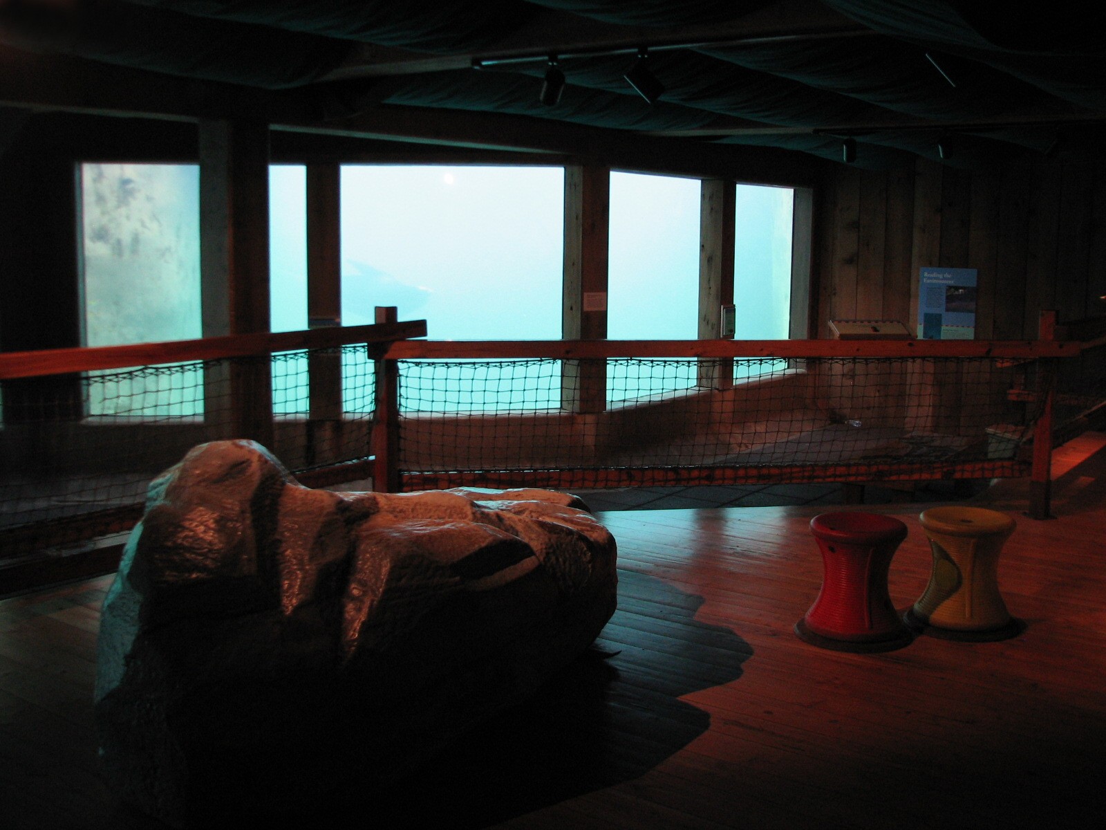 Pinniped Point - Underwater Viewing Room