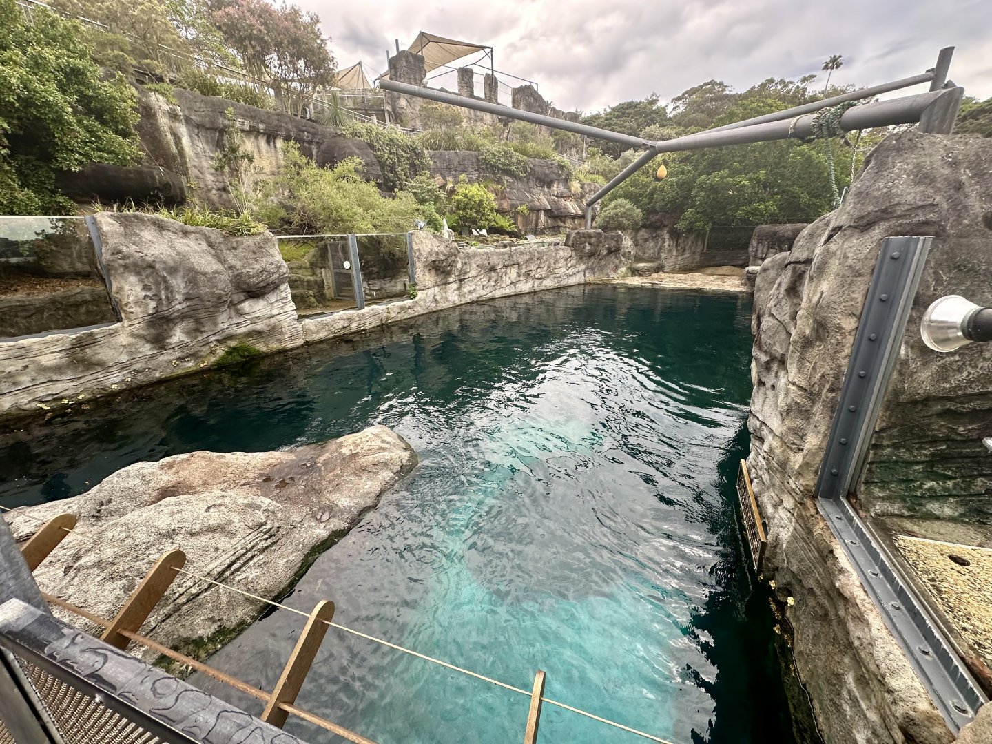 Pinniped Pool 2