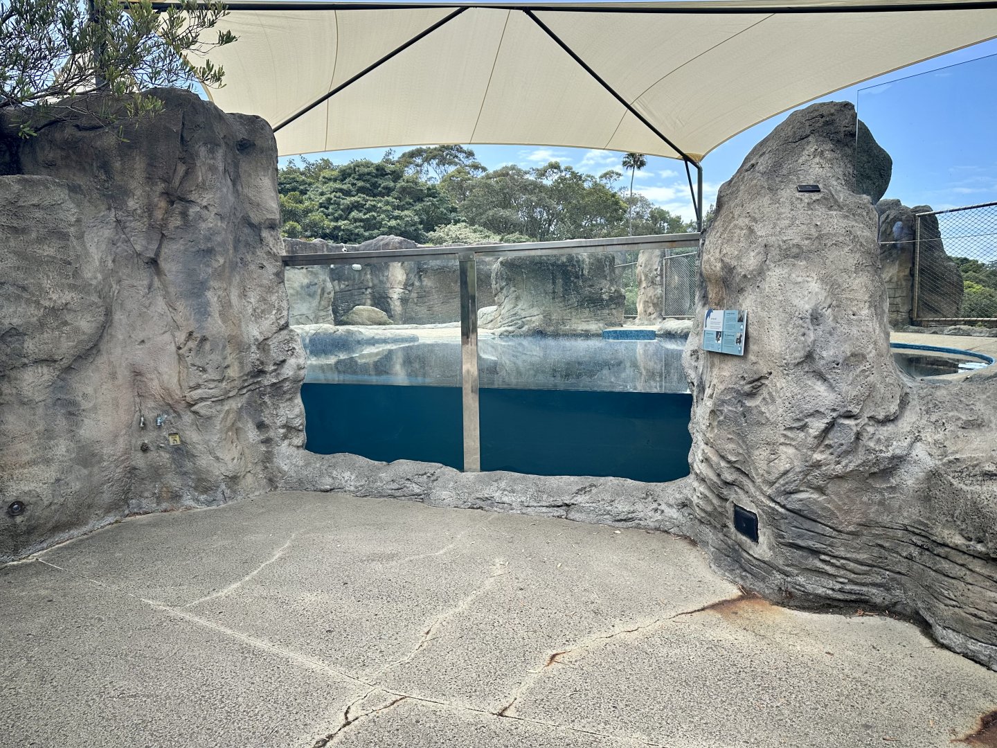 Pinniped Pool 4
