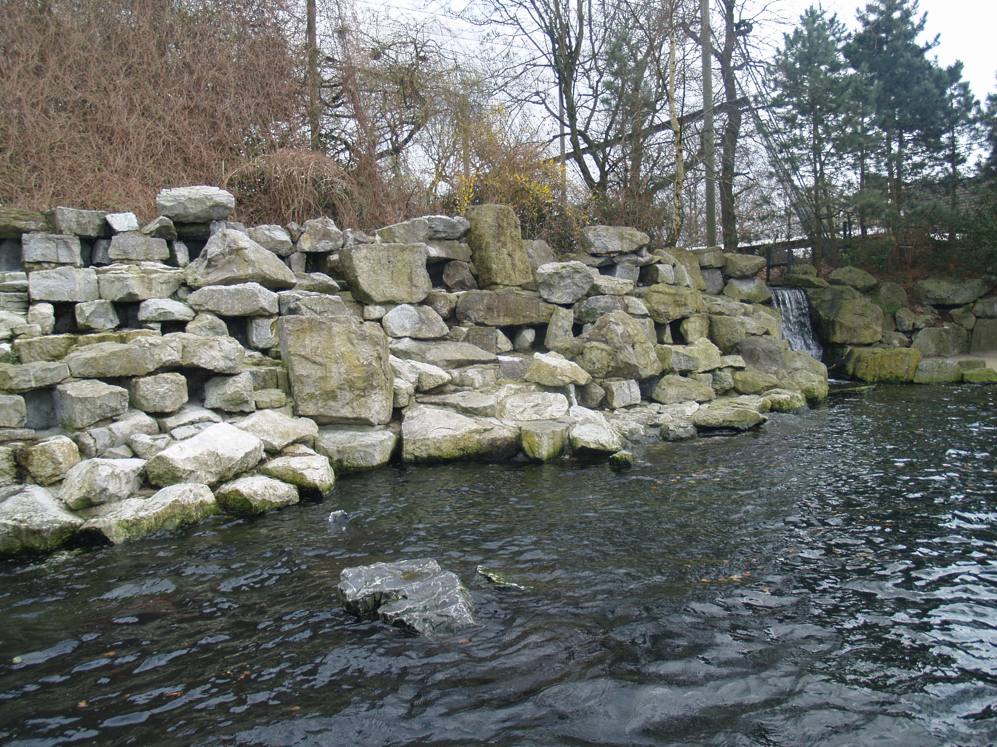 Pinniped separation exhibit, 2008-03-01