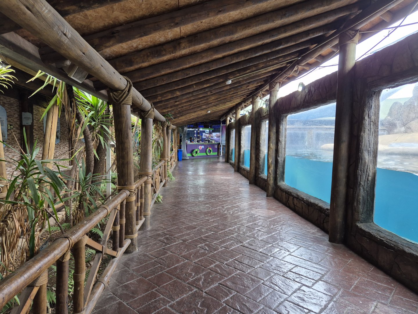 Pinniped viewing platform