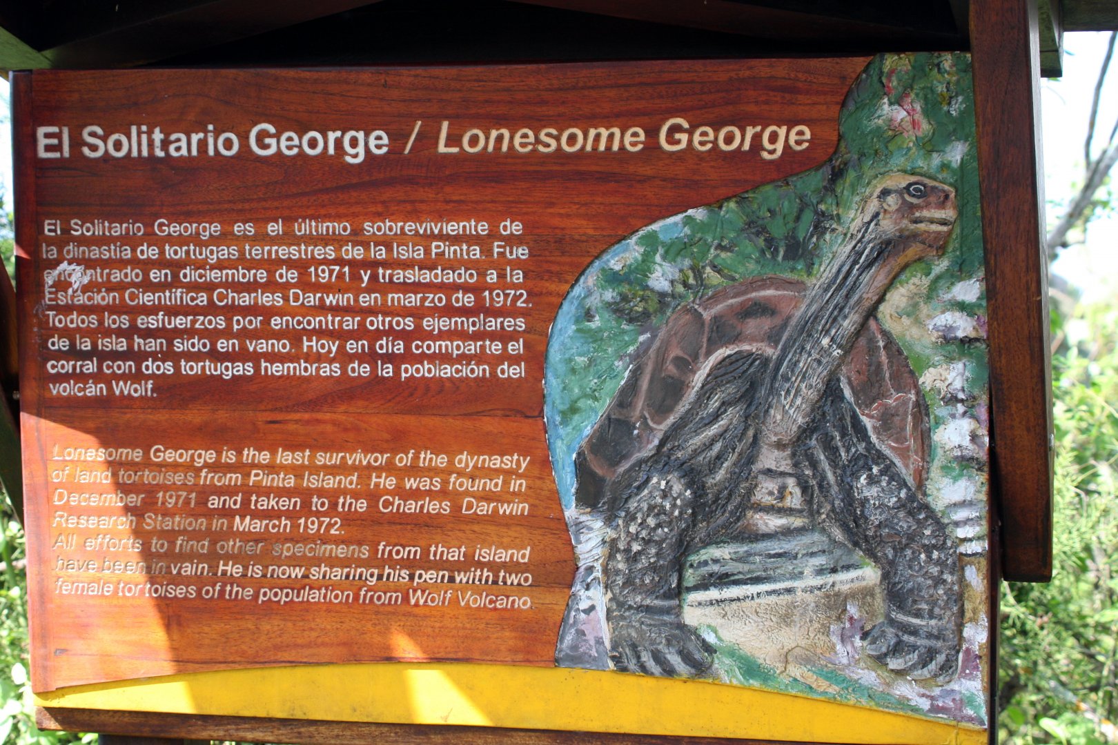 Pinta Island tortoise (Chelonoidis abingdonii) sign- February 2012