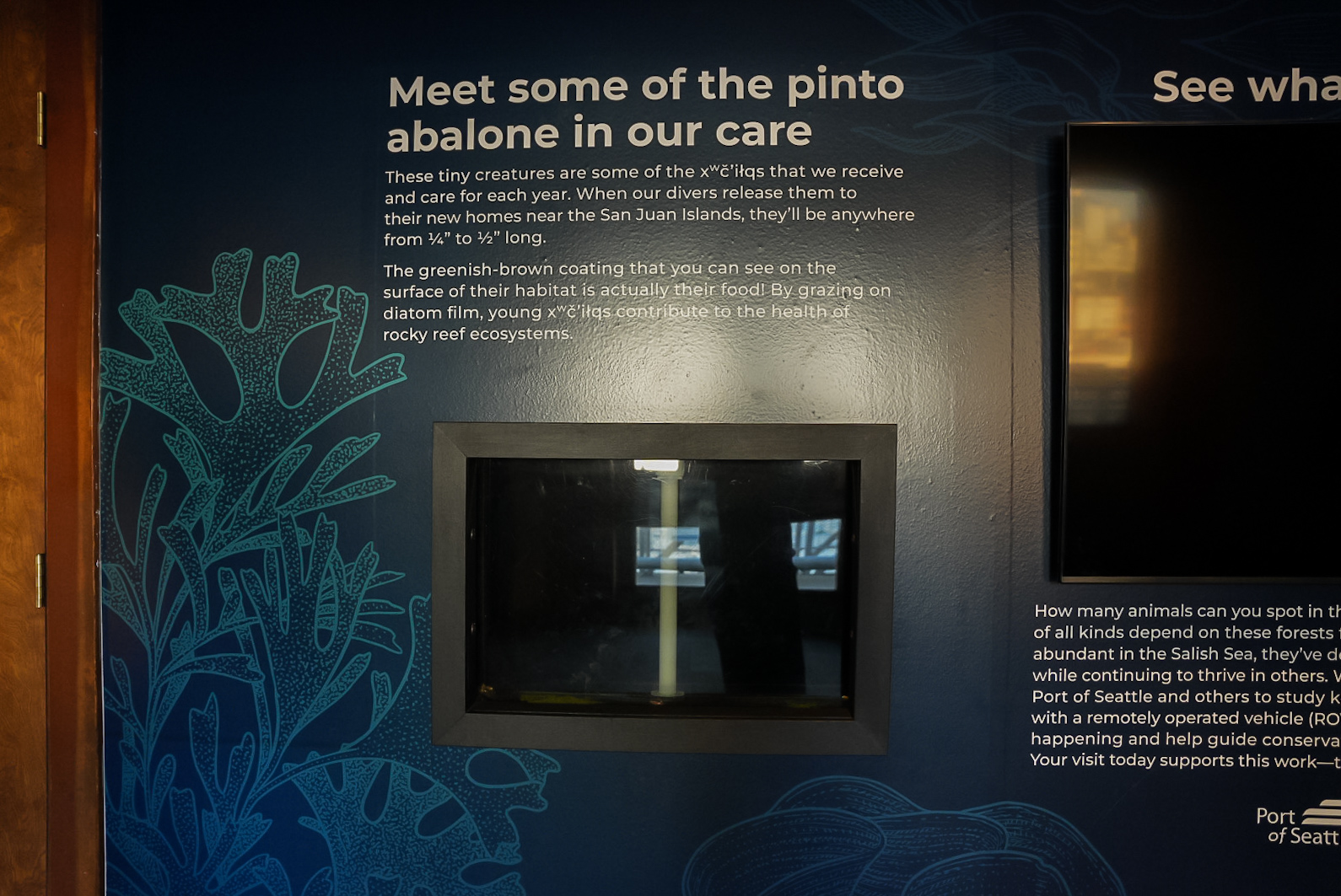 "Pinto Abalone Grow Out" (Pier 59)