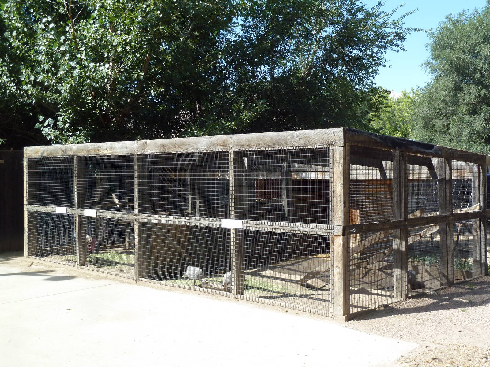 Pioneer Ranch - Chicken Coop