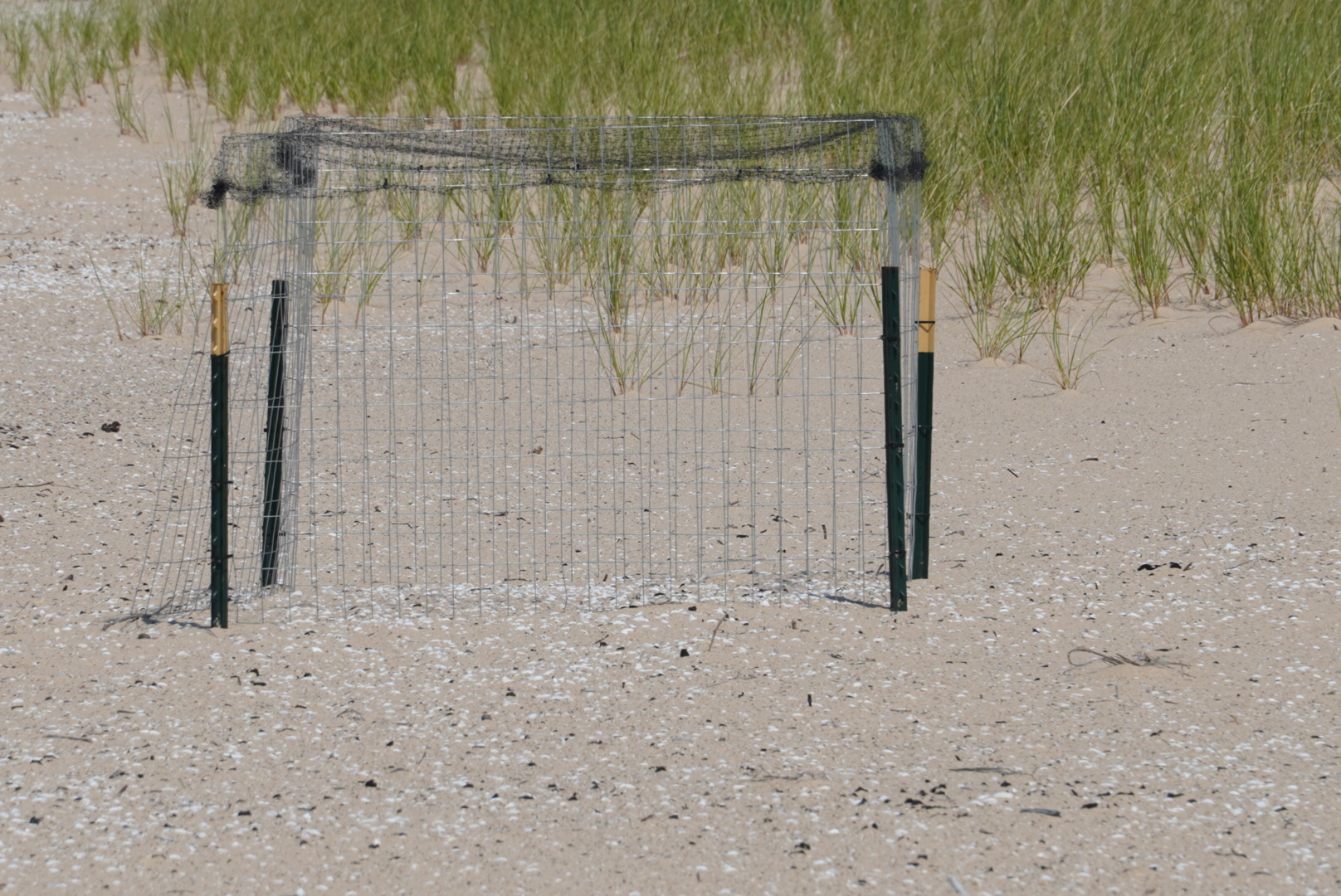 Piping Plover Nesting Cage