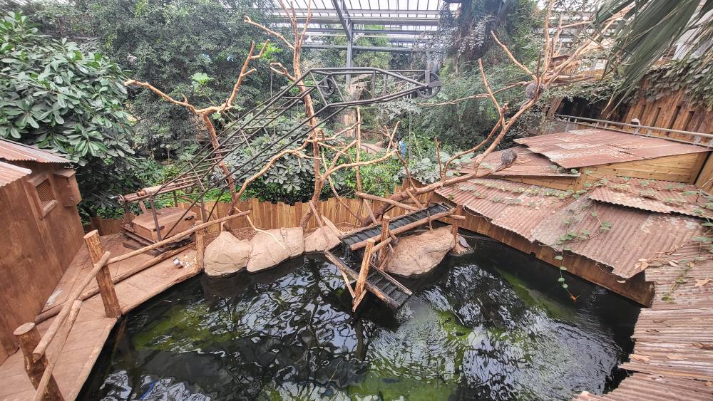 Piranha aquarium with Brazilian Porcupine exhibit